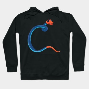 C - Malayan blue coral snake Hoodie